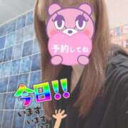 ヒメ日記 2025/11/04 07:35 投稿 もも トマトなび