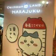 ヒメ日記 2025/11/05 23:38 投稿 もも トマトなび