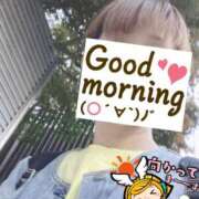 ヒメ日記 2025/11/06 06:28 投稿 もも トマトなび