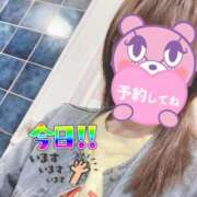 ヒメ日記 2025/11/06 07:36 投稿 もも トマトなび