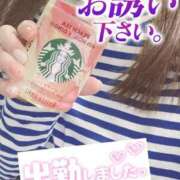 ヒメ日記 2025/11/07 07:38 投稿 もも トマトなび
