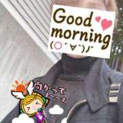 ヒメ日記 2025/11/08 06:22 投稿 もも トマトなび