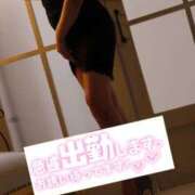 ヒメ日記 2025/11/08 11:25 投稿 もも トマトなび