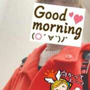 ヒメ日記 2025/11/09 06:32 投稿 もも トマトなび