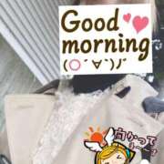 ヒメ日記 2025/11/10 06:25 投稿 もも トマトなび