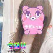 ヒメ日記 2025/11/14 07:54 投稿 もも トマトなび