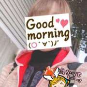 ヒメ日記 2025/11/18 06:28 投稿 もも トマトなび