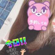 ヒメ日記 2025/11/18 07:37 投稿 もも トマトなび