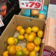 ヒメ日記 2025/11/19 21:50 投稿 もも トマトなび