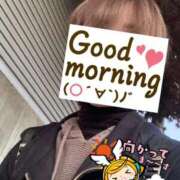 ヒメ日記 2025/11/24 06:24 投稿 もも トマトなび