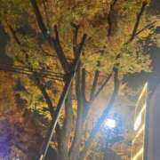 ヒメ日記 2025/11/26 22:04 投稿 もも トマトなび