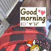 ヒメ日記 2025/11/28 06:24 投稿 もも トマトなび