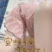 ヒメ日記 2025/11/29 08:59 投稿 もも トマトなび