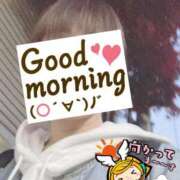 ヒメ日記 2025/12/02 06:25 投稿 もも トマトなび