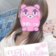 ヒメ日記 2025/12/02 07:59 投稿 もも トマトなび