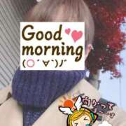 ヒメ日記 2025/12/04 06:31 投稿 もも トマトなび