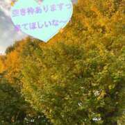 ヒメ日記 2025/12/04 07:43 投稿 もも トマトなび