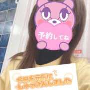 ヒメ日記 2025/12/08 07:39 投稿 もも トマトなび