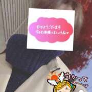 ヒメ日記 2025/12/09 06:27 投稿 もも トマトなび