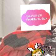 もも おはようございます トマトなび