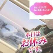 ヒメ日記 2025/12/15 06:46 投稿 もも トマトなび