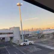 ヒメ日記 2025/12/15 07:19 投稿 もも トマトなび