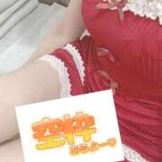 ヒメ日記 2025/12/20 10:25 投稿 もも トマトなび