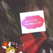 ヒメ日記 2025/12/22 06:37 投稿 もも トマトなび