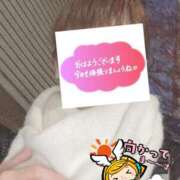 ヒメ日記 2025/12/26 06:31 投稿 もも トマトなび