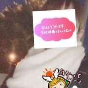 ヒメ日記 2025/12/28 06:23 投稿 もも トマトなび