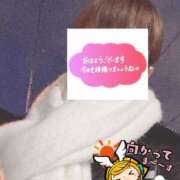 ヒメ日記 2025/12/29 06:24 投稿 もも トマトなび