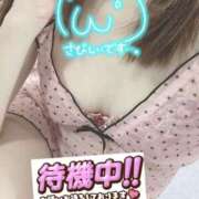 もも 〜12:20まで〜 トマトなび