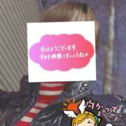 ヒメ日記 2026/01/15 06:38 投稿 もも トマトなび