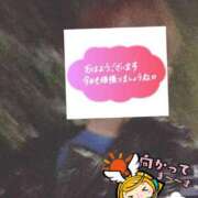 ヒメ日記 2026/01/17 06:35 投稿 もも トマトなび