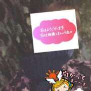 ヒメ日記 2026/01/19 06:29 投稿 もも トマトなび