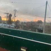 もも 極寒 トマトなび