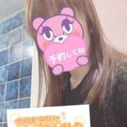 ヒメ日記 2026/01/27 07:51 投稿 もも トマトなび