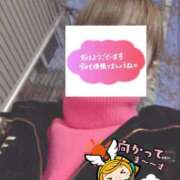 ヒメ日記 2026/01/29 06:31 投稿 もも トマトなび