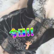 ヒメ日記 2026/01/30 07:57 投稿 もも トマトなび