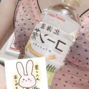 ヒメ日記 2026/01/30 21:55 投稿 もも トマトなび