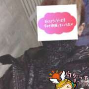 ヒメ日記 2026/01/31 06:23 投稿 もも トマトなび