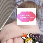 ヒメ日記 2026/02/02 06:30 投稿 もも トマトなび