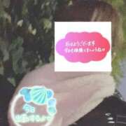 ヒメ日記 2026/02/07 06:24 投稿 もも トマトなび