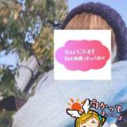 ヒメ日記 2026/02/09 06:37 投稿 もも トマトなび