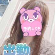 ヒメ日記 2026/02/09 07:57 投稿 もも トマトなび