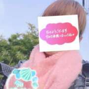 ヒメ日記 2026/02/10 06:36 投稿 もも トマトなび