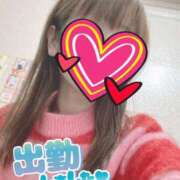 ヒメ日記 2026/02/10 07:46 投稿 もも トマトなび