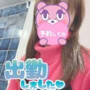 ヒメ日記 2026/02/12 07:49 投稿 もも トマトなび