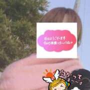 ヒメ日記 2026/02/14 06:24 投稿 もも トマトなび