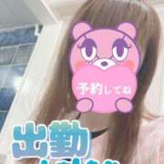 ヒメ日記 2026/02/14 07:33 投稿 もも トマトなび